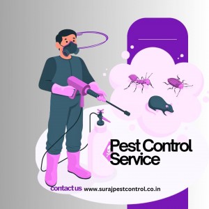 Pest Control Service Noida