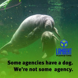 Lambent adopted Phyllis, an endangered West Indian manatee, through Save the Manatee Club