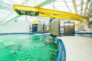 Air Technical Industries Shark Crane