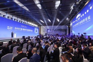 (2025 Global South Financiers Forum)