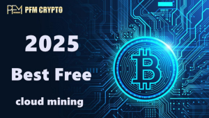 Investment breakdown: Contract times, earnings, and profits at a glance with PFM CRYPTO.
