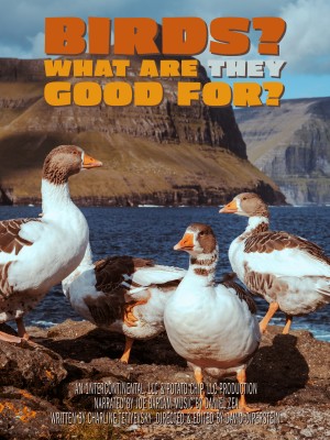 Birds? What Are They Good For? poster