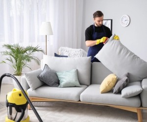 about same day couch