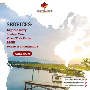 binary immgiration services cover page