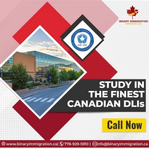 study visa surrey