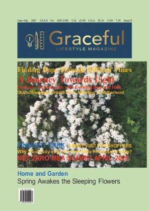 Graceful  Issue 13