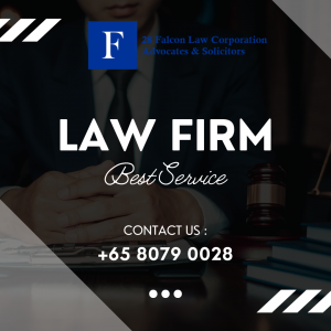 Law Firm best Services