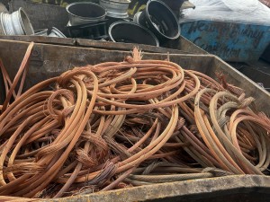 WhatsApp Image 2025 04 24 at 4 02 29 PM 1