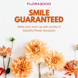 Mothers Day USA. Make her day bloom with joy.