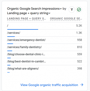 Amethyst Dental Organic Google Search Impression