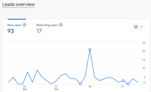 Amethyst Lead Overview