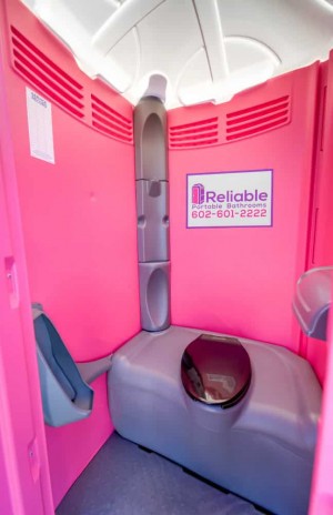 rental classic pink 3