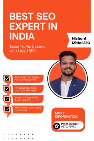 seo consultant india