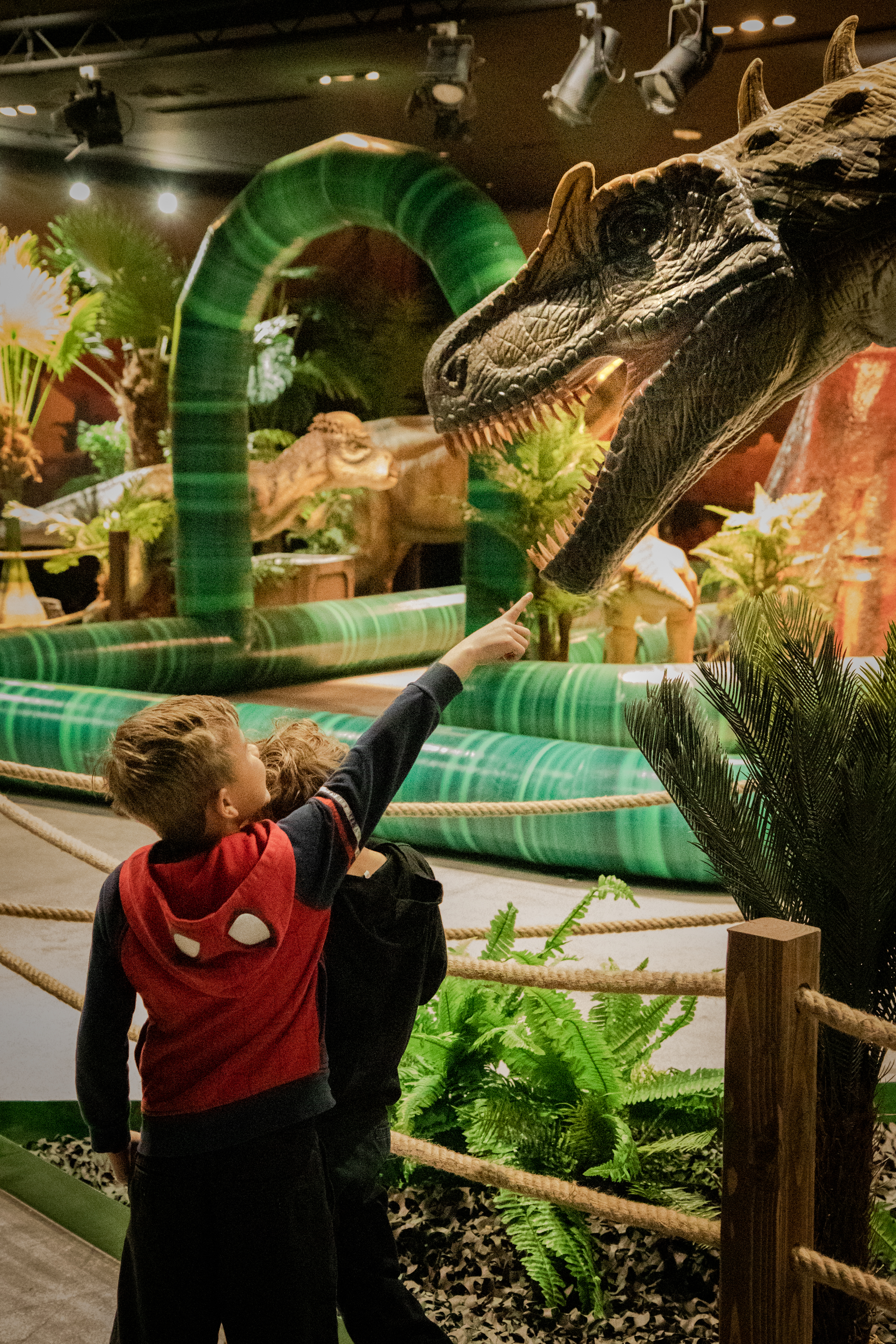 BigAl Allosaurus HollyChrisPhotography DOf 8632 BigAl Allosaurus HollyChrisPhotography DOf 8632