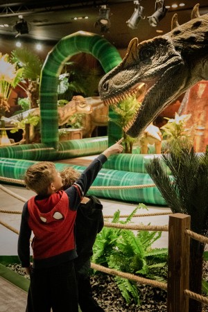 BigAl Allosaurus HollyChrisPhotography DOf 8632