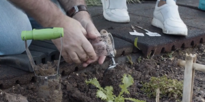 Basic Strategies To Create a Garden (Image Credit: Jon Barrett)