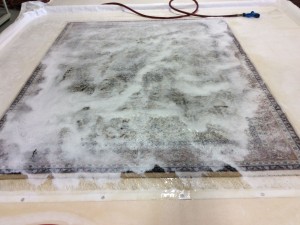 rug cleaning services in Rochester Hills