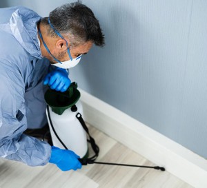 Pest Control Services img