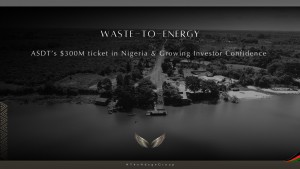 Ndege’s $300M Nigeria plant shows investor confidence. #RenewableEnergy