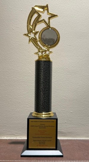 MSME Global Platinum Business Excellence Award 2025