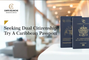 Caribbean Passport by investment Copy