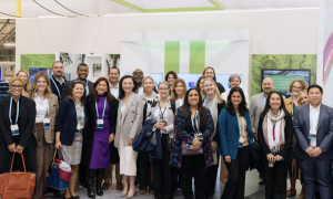 Chief of Staff Enterprise Certification Program