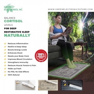 Green Electronics Store