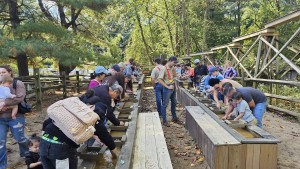 busy days slucing for rubies