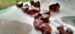 Rubies found at the mine.