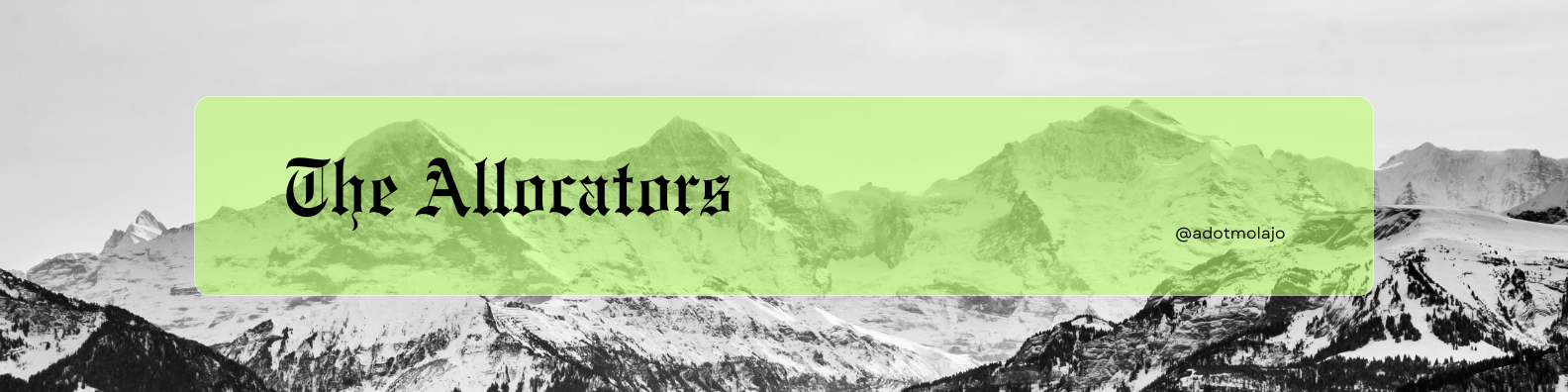 The Allocators Newsletter Launch