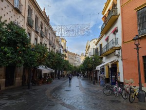 ammar jali travel 55