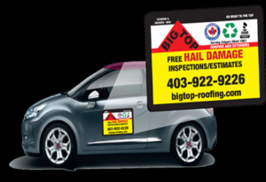 vehicle vinyl decals