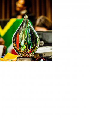 South African Women's Alliance Award and Brand South Africa 