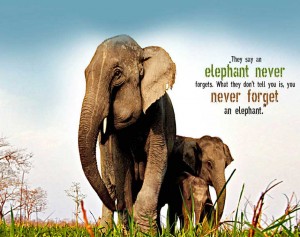 Jungle Safari in Jim Corbett