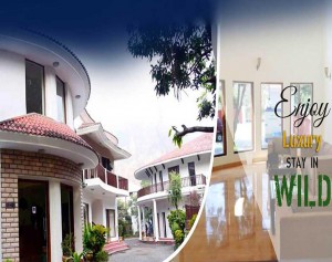 Resorts in Dhikala Zone