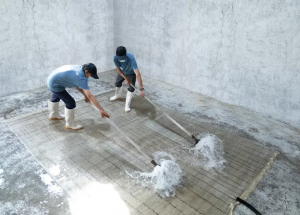 Luxury Rug Carpet Cleaning