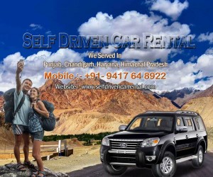 self drive banner 2