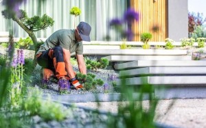 Landscaping Contractors in Houston