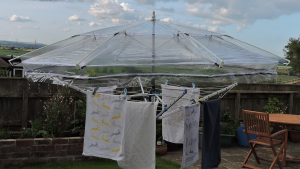 358fd7f9e74d362839fa52d7d36deac2