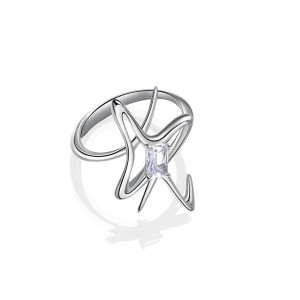 Where silver and ice meet — Symbiosis begins