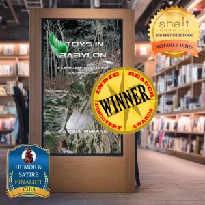 Author Patrick Finegan