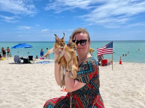 Caracats enjoying the beach in Florida — social, confident, and stunningly beautiful.