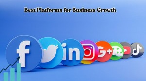 Best Platforms for Business Growth
