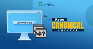Free Canonical Checker