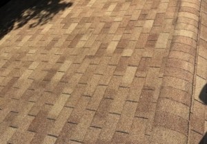 Roof Power Washing
