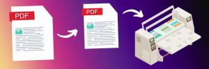 Remove White Space from PDF for Professional Printing