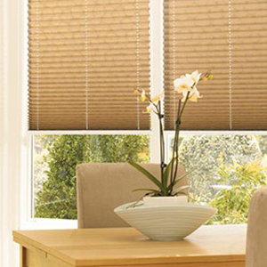 Pleated Blinds