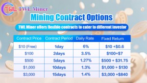 Diverse mining contracts to choose from