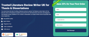 literature review writers UK