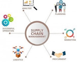 Supply Chain Consultants 4